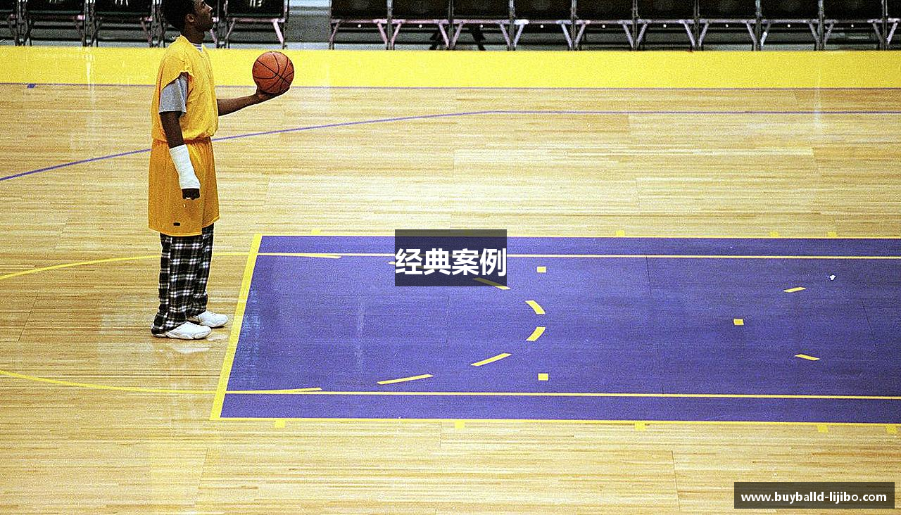经典案例